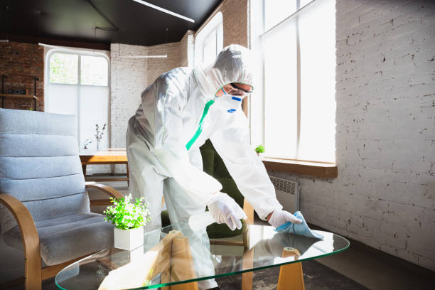 Why You Should Choose Our Mold Remediation Services in Greensboro, NC